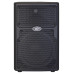 PEAVEY PVXp 10 DSP