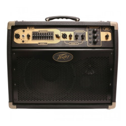 PEAVEY Ecoustic E110