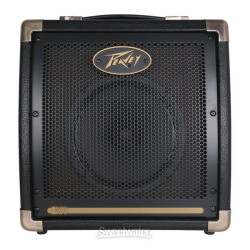 PEAVEY Ecoustic E20