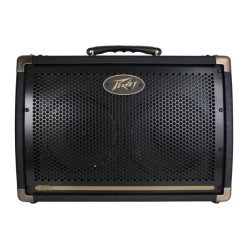 PEAVEY Ecoustic E208 (товар снят с производства)