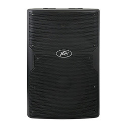 PEAVEY PVXp 15