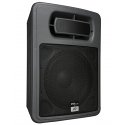 PEAVEY  PR Sub