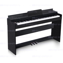 Pierre Cezar XY-8813-H-BK