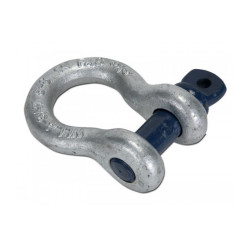 RCF SHACKLE TTL 33-31
