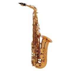 Selmer Reference DGG Dark Gold LE