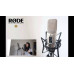 Конденсаторные микрофоны RODE NT2-A 