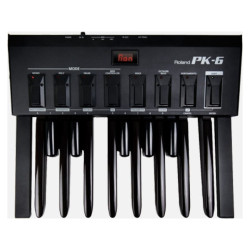ROLAND PK-6