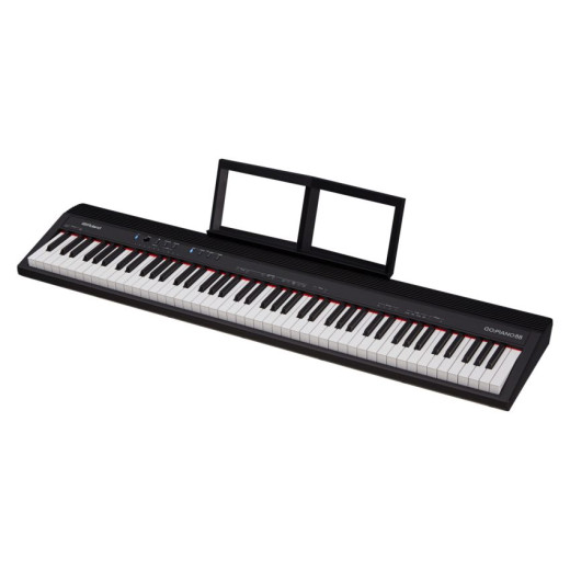 ROLAND GO-88P