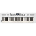 ЦИФРОВЫЕ ПИАНИНО, РОЯЛИ И ОРГАНЫ ROLAND GO:KEYS-5-WH