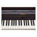 ROLAND RP302-CRL