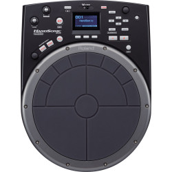 ROLAND HPD-20