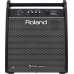 ROLAND PM-200