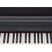 Roland RP30