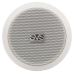 SVS Audiotechnik SC-105 потолочные