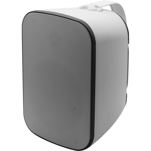 SVS Audiotechnik PAF-5W Pro всепогодные