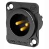 XLR Seetronic MJ3F2C-BG