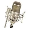 Студийный микрофон Neumann M 147 Tube Set