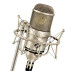Neumann M 147 Tube Set студийный микрофон