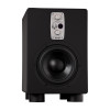 Студийные сабвуферы EVE Audio TS107