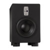 Студийные сабвуферы EVE Audio TS110