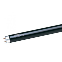 SYLVANIA BLB F36 T8
