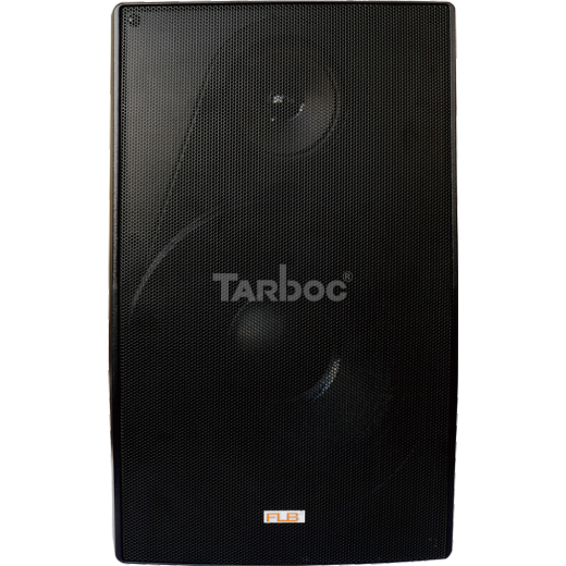 Настенные Tarboc WS-308