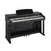 ЦИФРОВЫЕ ПИАНИНО, РОЯЛИ И ОРГАНЫ Orla 438PIA0248 CDP 31 Hi-Black