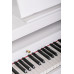 ЦИФРОВЫЕ ПИАНИНО, РОЯЛИ И ОРГАНЫ Orla Grand-500-WHITE