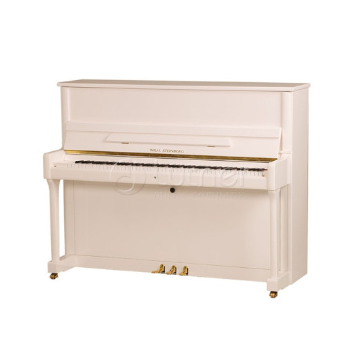 W.Steinberg 190014-2MK Performance P118