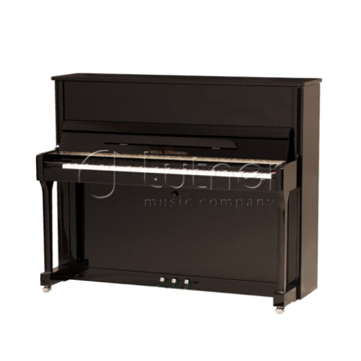 W.Steinberg 190046-1CK Performance P121