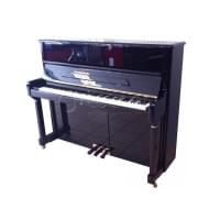 W.Steinberg 190047-1MK Performance P125E