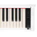 ЦИФРОВЫЕ ПИАНИНО, РОЯЛИ И ОРГАНЫ Medeli DP280K-GW
