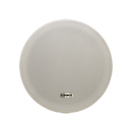 Потолочные ZTX audio KS-817