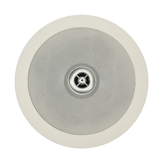 Потолочные ZTX audio KS-819A