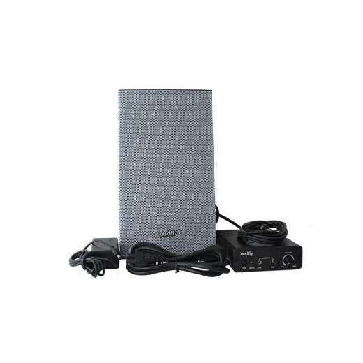 AUDFLY FSC5-B2-S Активная акустическая система