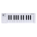 25 клавиш Arturia MicroLab 3 White