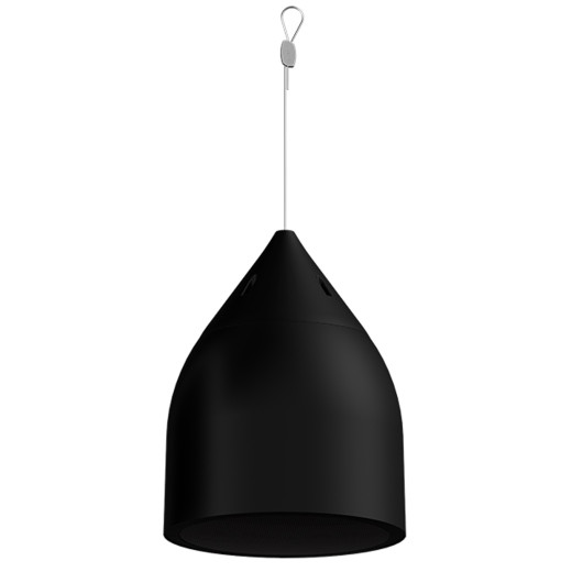 Подвесные Biamp DP6-B