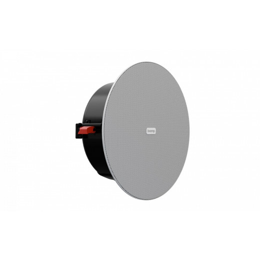 Biamp DX-IC4LP-W потолочные