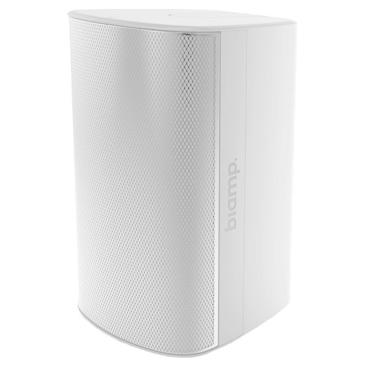 Настенные Biamp EX-S10-CM-W