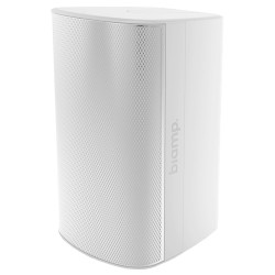 Biamp EX-S10-UB-W