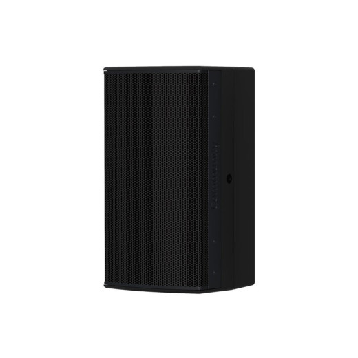 Пассивная акустическая система Biamp IC6-1082/96B