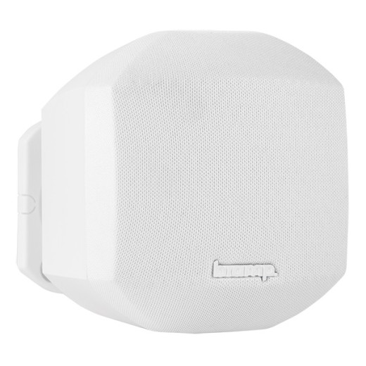 Настенные Biamp MASK2-W