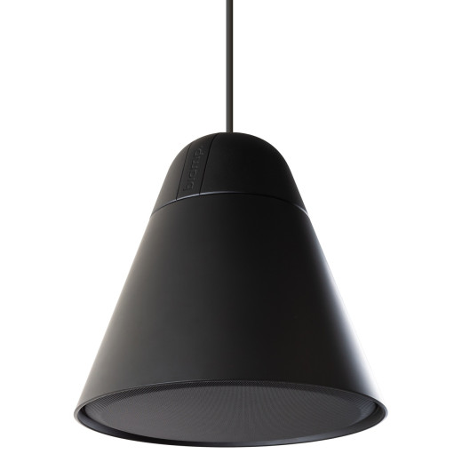 Biamp P30DT-BL подвесной громкоговоритель