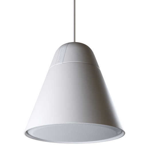 Подвесной громкоговоритель Biamp P30DT-W