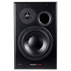 Активные студийные мониторы 🎶 Dynaudio BM 15A L