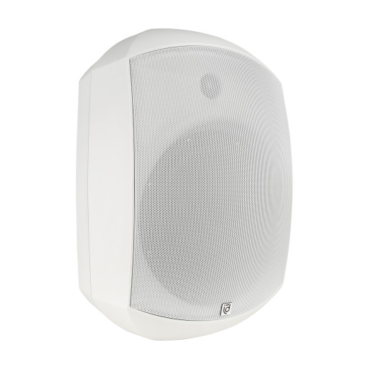 Настенные Intrend ITSPK-MSK8-W