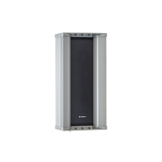 DIGIRUSS CSP-210 настенные