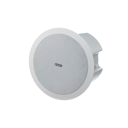 DIGIRUSS CSP6 потолочные