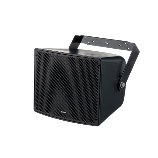 DIGIRUSS HSP-150 рупорные