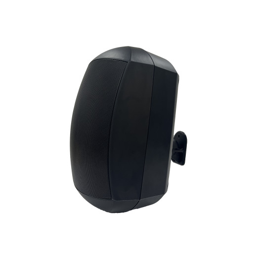 DIGIRUSS WSP-640 B настенные